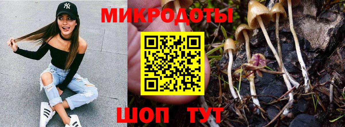 Галлюциногенные грибы MAGIC MUSHROOMS  Галлюциногенные грибы прущие грибы  Сердобск  Вход с VPN 